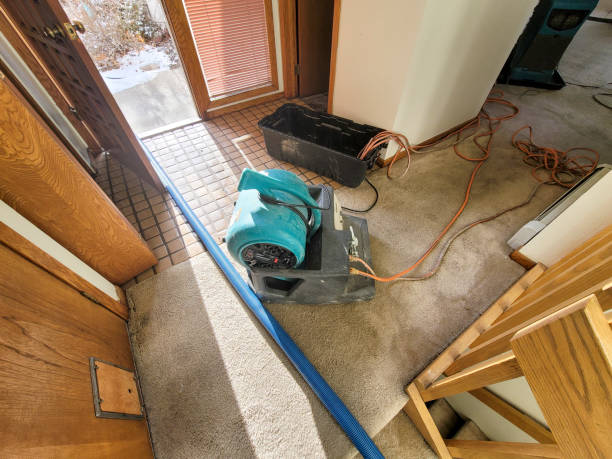 Best Water damage cleanup near me  in Hutchins, TX