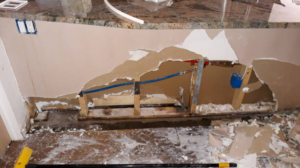 Best Commercial water damage restoration  in Hutchins, TX