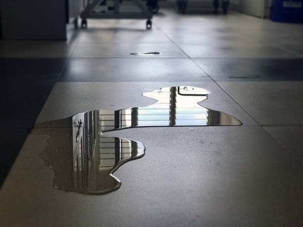 Best Water damage restoration near me  in Hutchins, TX