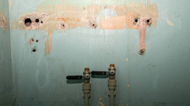 Best Fire Damage Restoration  in Hutchins, TX