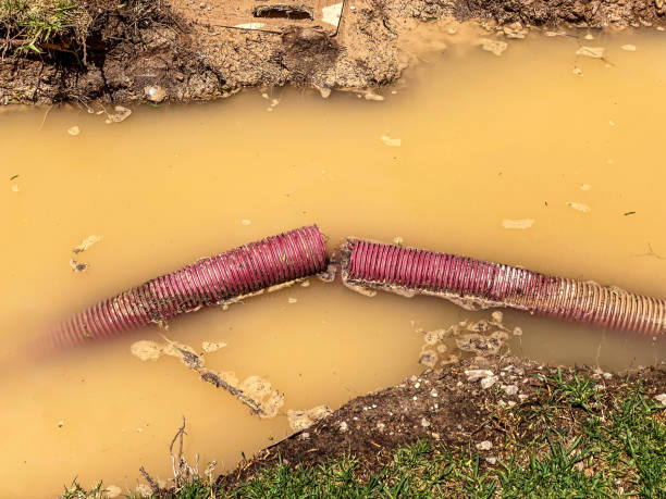 Best Carpet water damage restoration  in Hutchins, TX